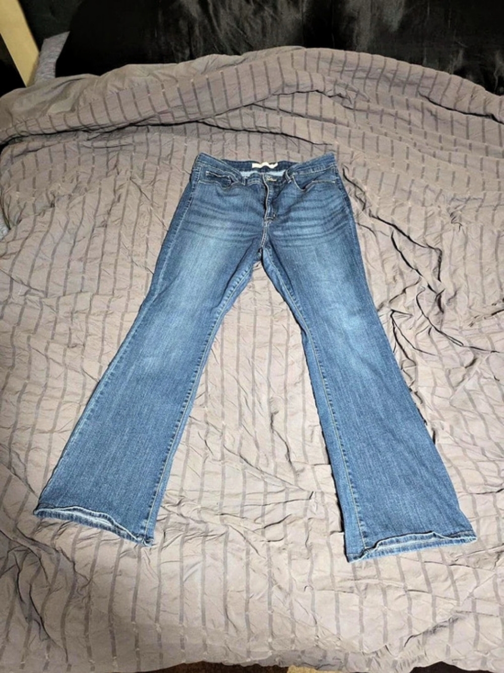 Signature by Levi Strauss Women's Modern Bootcut Jeans Size 16 Mid Rise.
